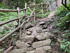 -王顺山国家森林公园