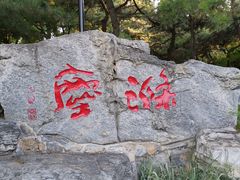 -玲珑塔公园