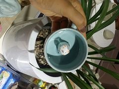 android_upload_pic-今日陶艺(富力广场店)