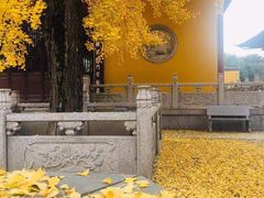 -上海青龙寺