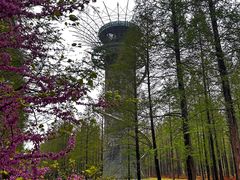 -黄海国家森林公园