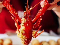 -堕落小龙虾(兰州旗舰店)