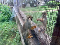 -石家庄市动物园