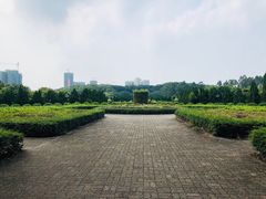 -大湾区中央湿地公园