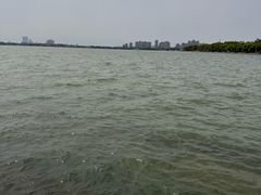-金鸡湖景区
