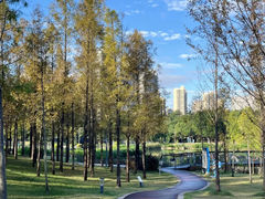 -牛岗山公园