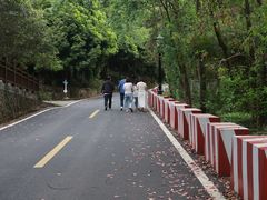 -潜山国家森林公园