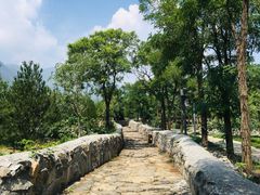 -阳台山自然风景区