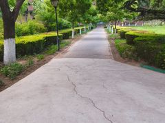 -康庄公园