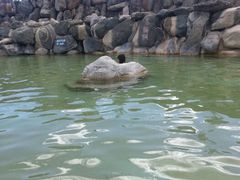 android_upload_pic-大理地热国