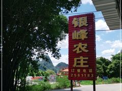 -银峰农庄·特色烧鸡·鲜无花果浸鸡