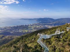 -三亚亚龙湾人间天堂鸟巢度假村