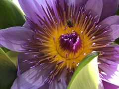 景点-上海长兴岛郊野公园