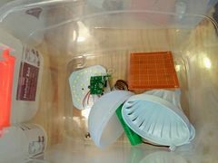 -手创未来·木工DIY手作