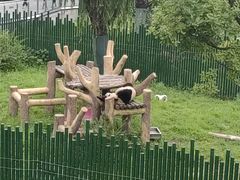 -沈阳森林动物园