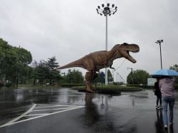 -水八仙生态园