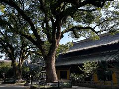 -阿育王寺