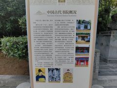 -关中书院