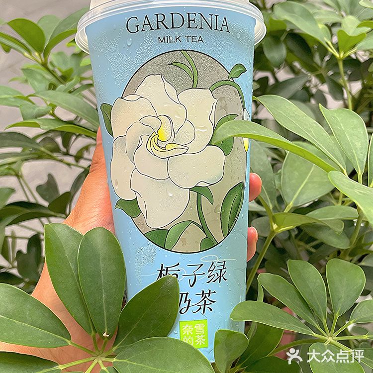 来一杯栀子花奶茶，『栀』愈闷热的夏天