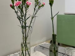 康乃馨-厦门第七菜市场