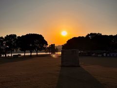 -上海月湖雕塑公园