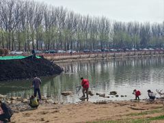 -丁香湖公园