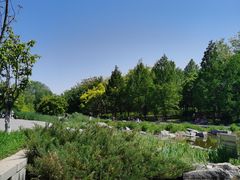 -大望京公园