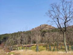 -狮子山(地铁站)