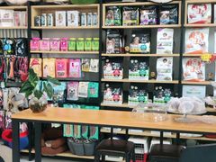 -欧奕国际动物医院