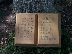 -南山风景名胜区
