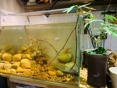 -Rabbit Cafe私房西餐甜点咖啡(栖霞路店)