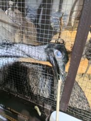 -酷嗒动物文化乐园(cutezoo西溪乐天城店)