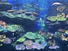 -暹罗海洋世界