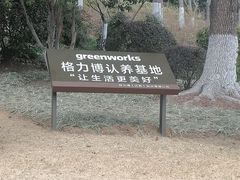 -青枫公园
