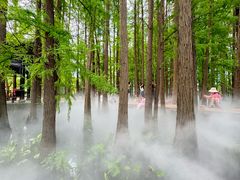 -东湖落雁景区