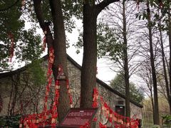 -乌镇西栅景区-月老庙