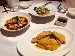 -圆苑(金茂店)