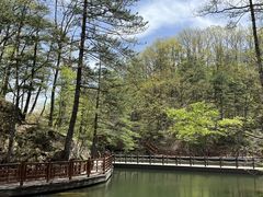-洛阳白云山景区