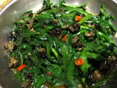 韭菜炒田螺-刘胖子家常菜·蹄花焖藕(中南店)