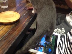 iphone_upload_pic-MIKAKU(万达广场上海宝山店)