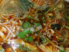 -芙蓉树下冒菜·麻辣烫(农院店)