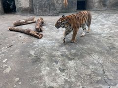 -南昌动物园