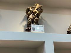 -宝安区结缘奇石博物馆