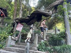 -严子陵钓台(富春江小三峡)