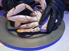 -Catch the Cajun Seafood(表参道店)