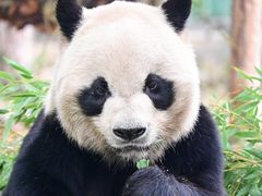 -青岛动物园
