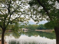 -国家植物园