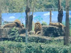 -秦皇岛野生动物园