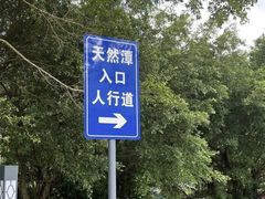 -杨梅坑