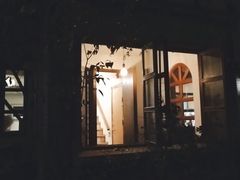 -两棵枇杷树